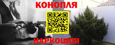 spice Кандалакша