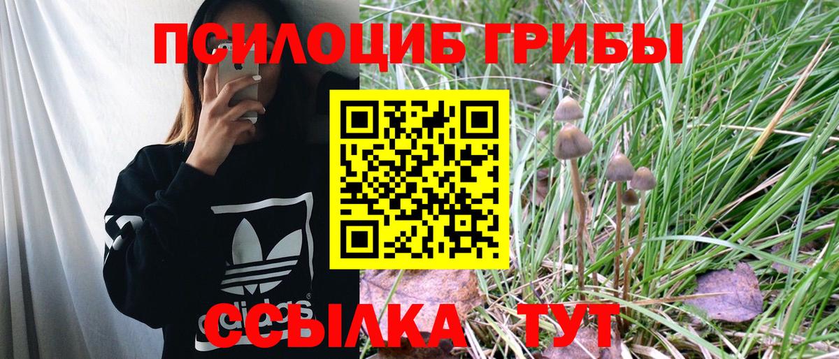 Псилоцибиновые грибы MAGIC MUSHROOMS  Вход с VPN  Соль-Илецк 